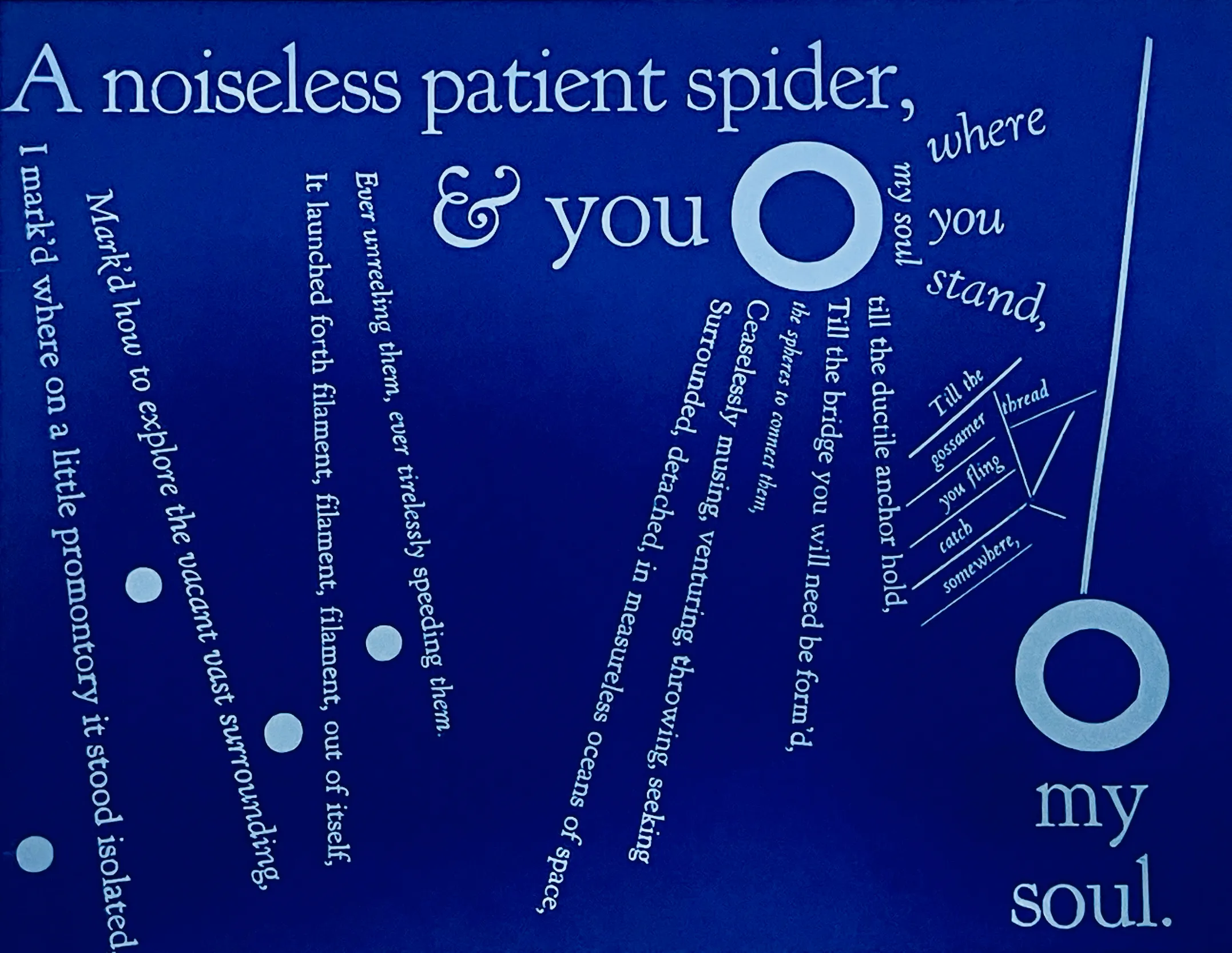 Visconti NoiselessPatientSpider